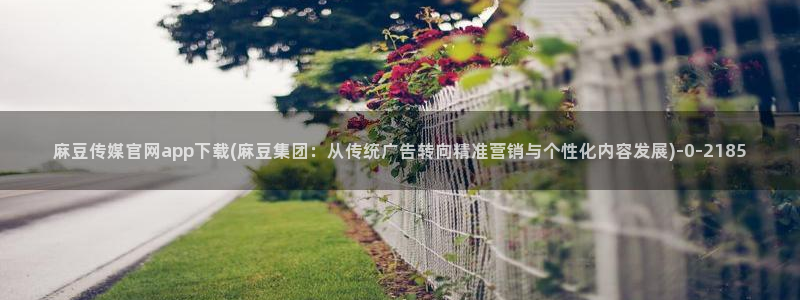 麻豆合集页