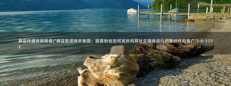 麻豆演员资料