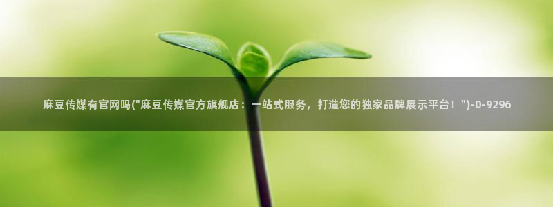 麻豆标题优化