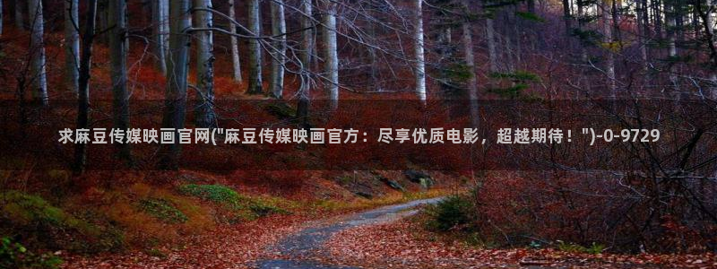 麻豆视频页面标题