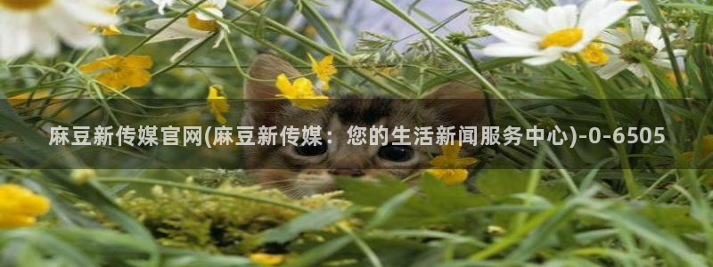 麻豆国产视频