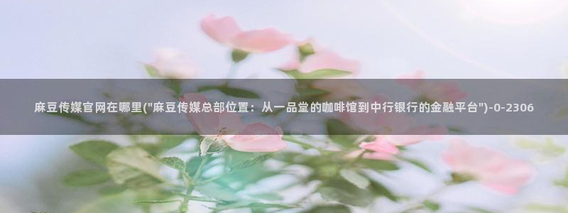 麻豆传媒新片