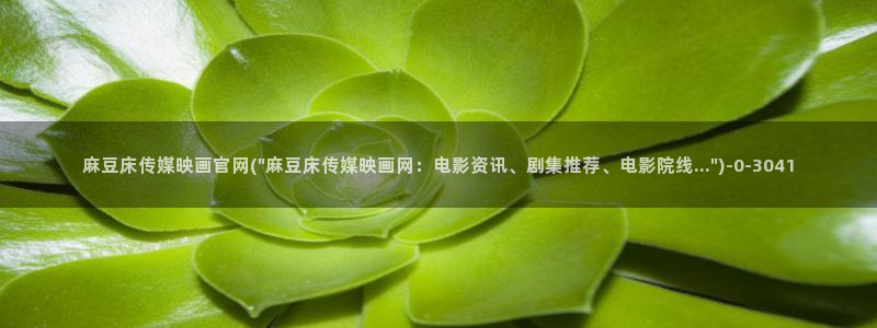 麻豆视频页面结构