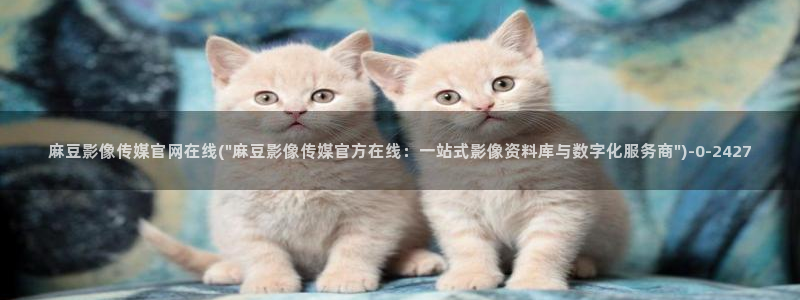 麻豆资源导航