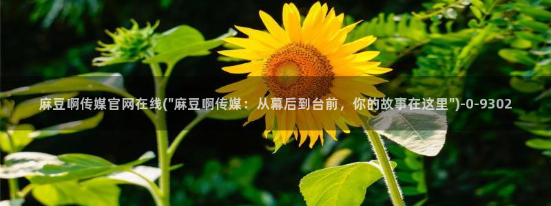 麻豆系列视频