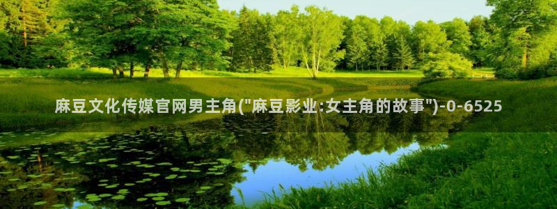 麻豆视频入口