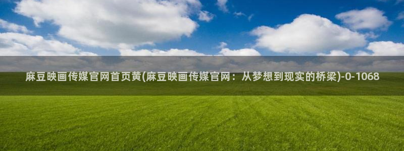 麻豆视频专题