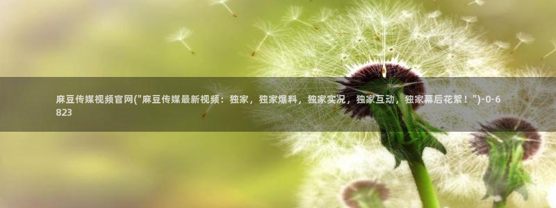 麻豆国产视频