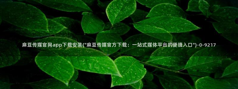 麻豆都市剧情