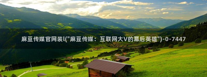 麻豆视频指南文案