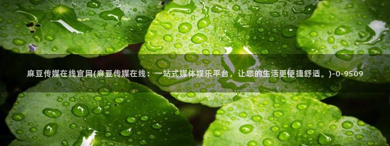麻豆视频伪原创