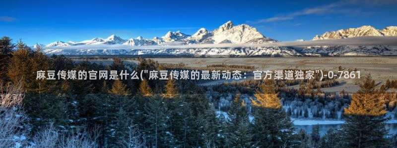 麻豆视频合集