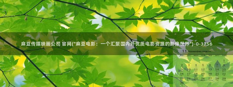 麻豆人物关系