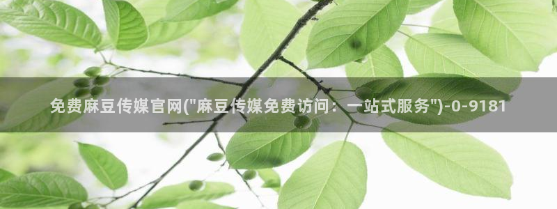 麻豆视频页面结构