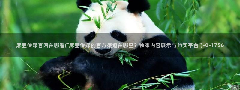 麻豆页面收录