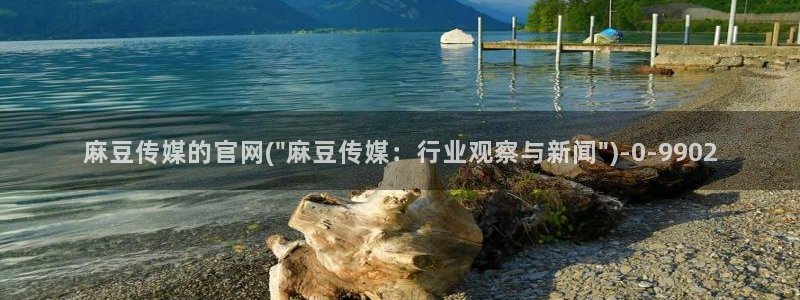 麻豆视频封面