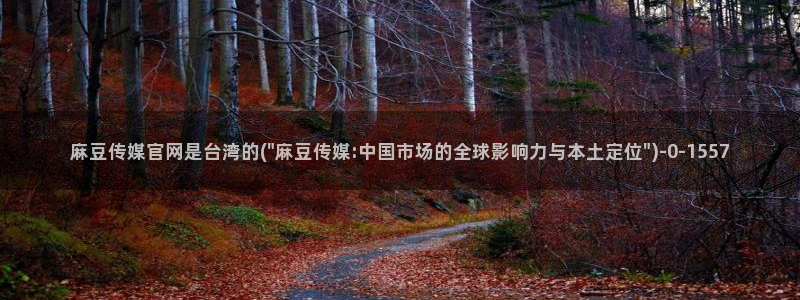 麻豆视频页面描述