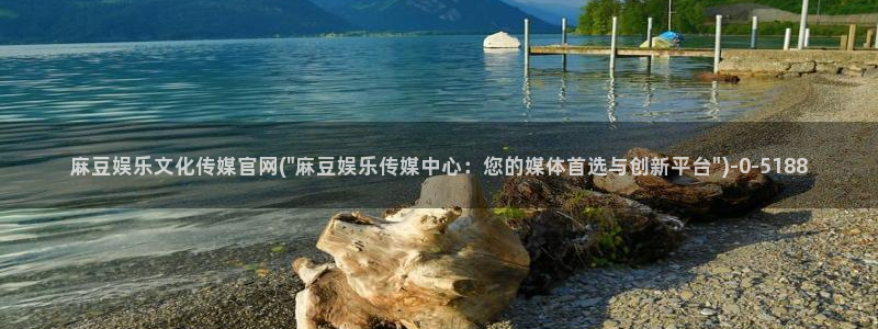 麻豆视频用户体验