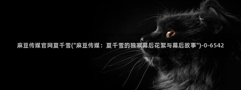 麻豆视频模板