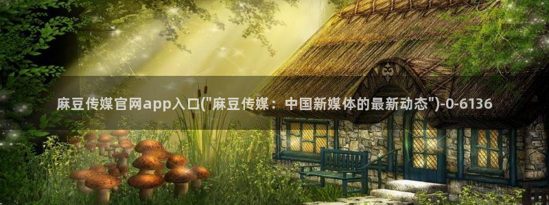 麻豆视频模板标签：麻豆传媒官网app入口(\