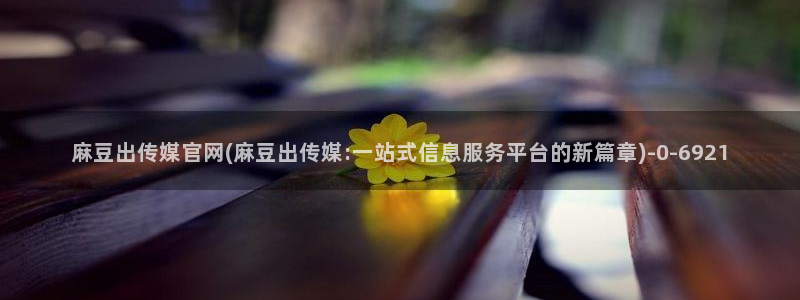 麻豆视频自动更新
