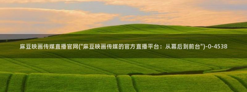 麻豆传媒
