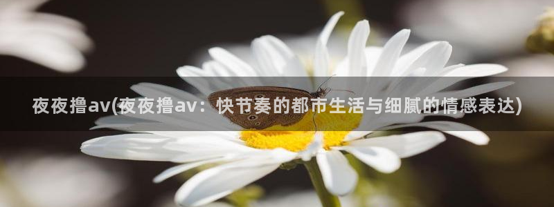 无码在线播放AV