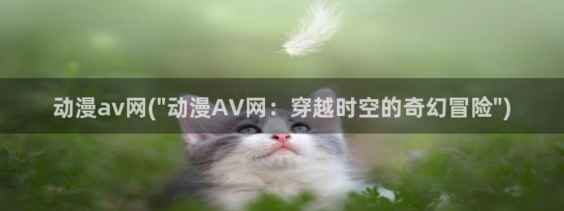 先锋影音AV片
