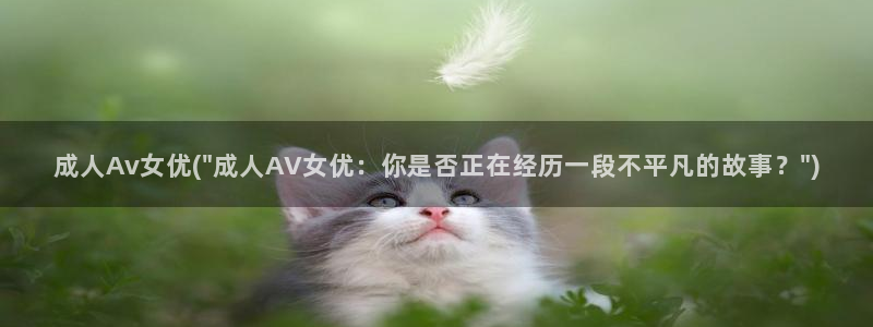 Av网站谁有