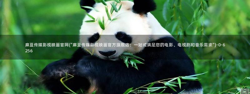 麻豆榜单标题